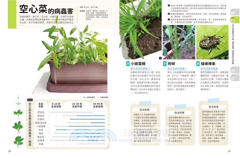 常見蔬果病蟲害天然防治大全：在家最常種的葉菜X瓜果花菜X根莖辛香類病蟲害，從根治到預防完全圖解！