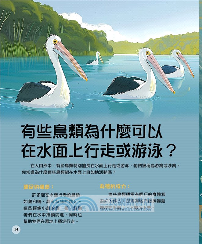 飛行動物最有趣的60個秘密