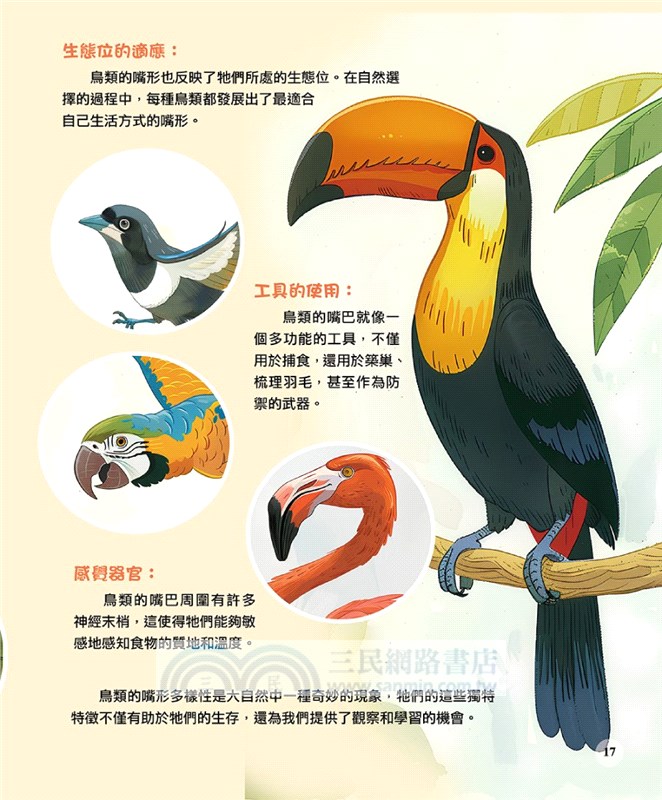 飛行動物最有趣的60個秘密