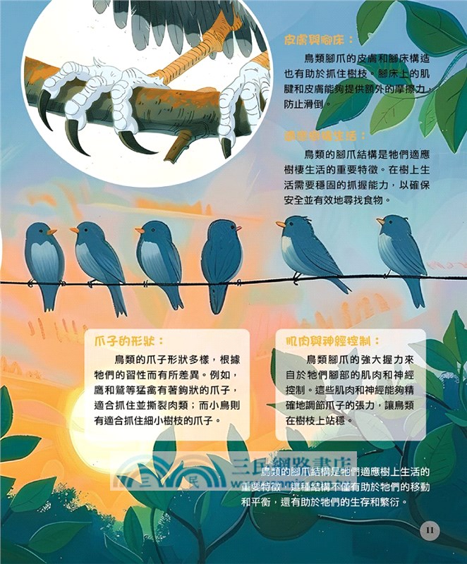 飛行動物最有趣的60個秘密