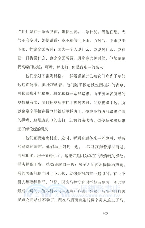 驚馬奔逃（簡體書）