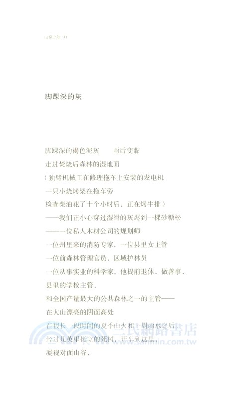 山巔之險（簡體書）