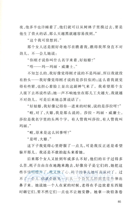 張友松譯哈克貝利‧費恩歷險記（簡體書）
