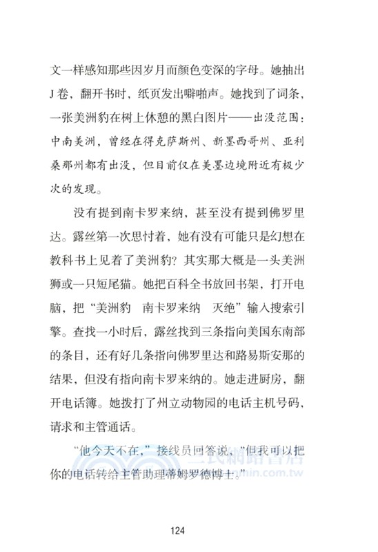 熾焰燃燒（簡體書）