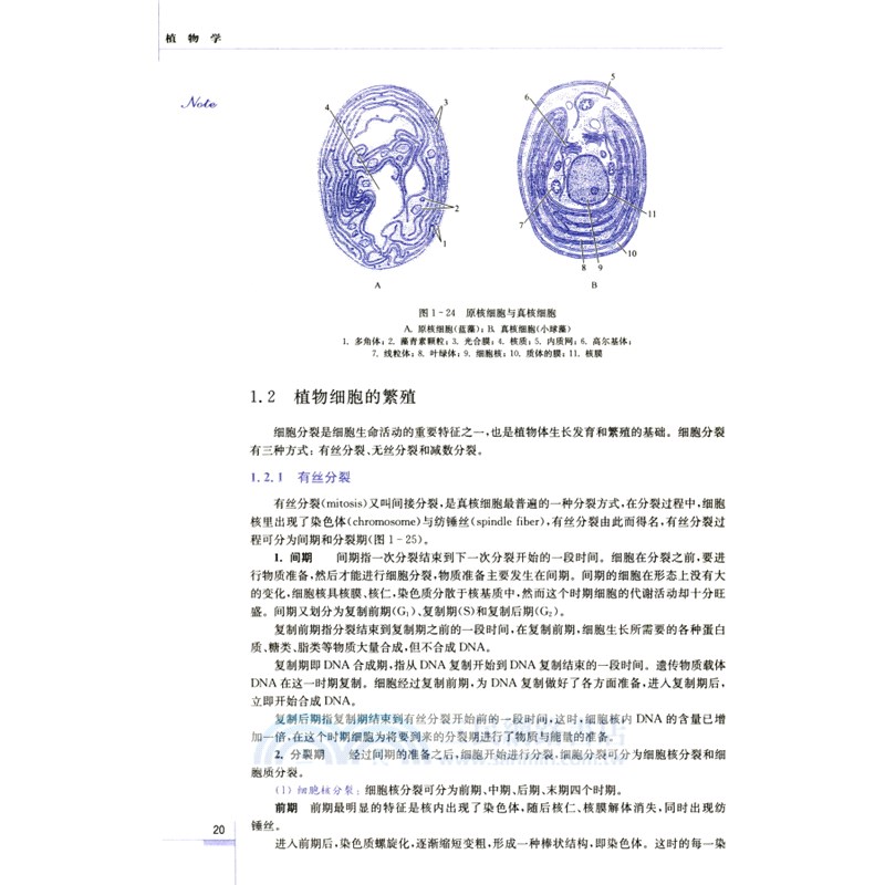 植物學(第二版)（簡體書）