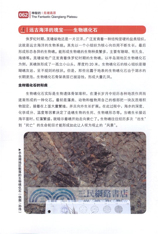 神秘的羌塘高原（簡體書）