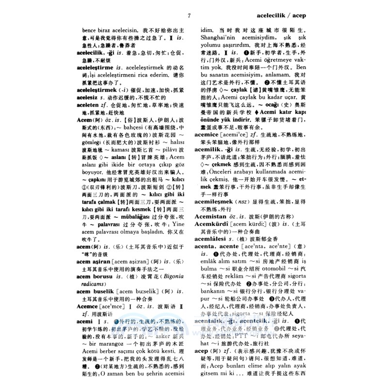 土耳其語漢語詞典（簡體書）