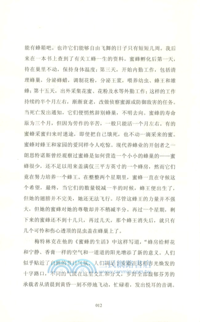 樹籬上的雪（簡體書）