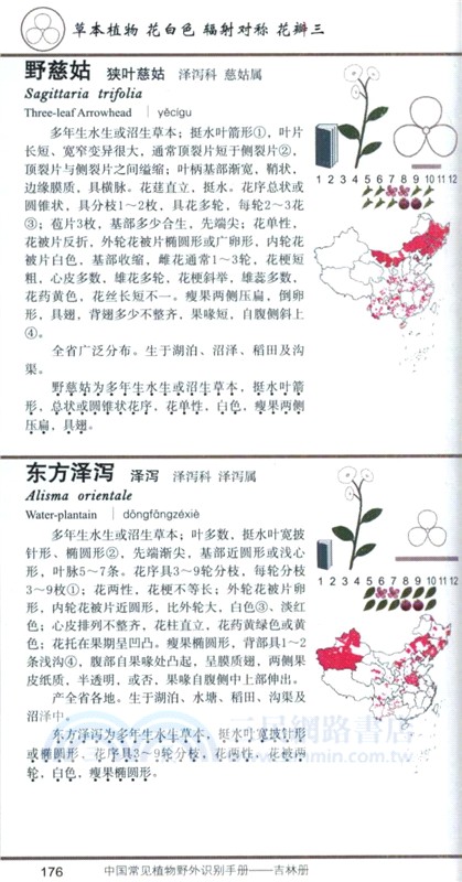 中國常見植物野外識別手冊：吉林冊（簡體書）