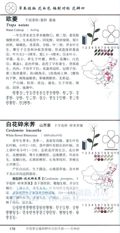 中國常見植物野外識別手冊：吉林冊（簡體書）