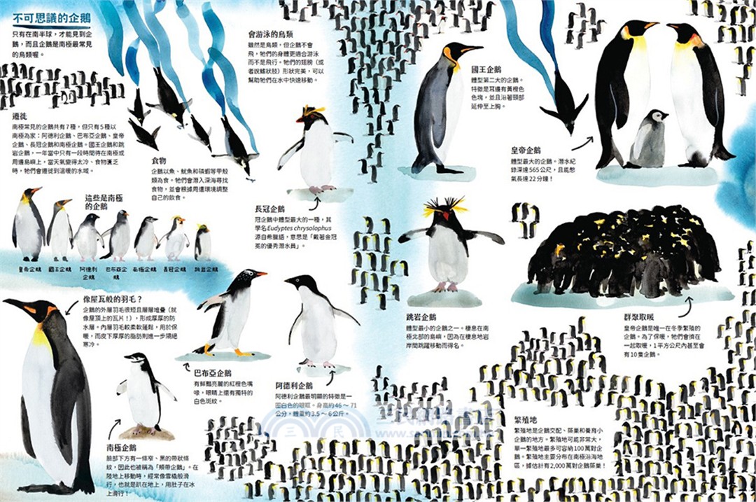 最美的地球生態之旅【海洋+南極大探險】（共二冊）SDGs必讀小百科