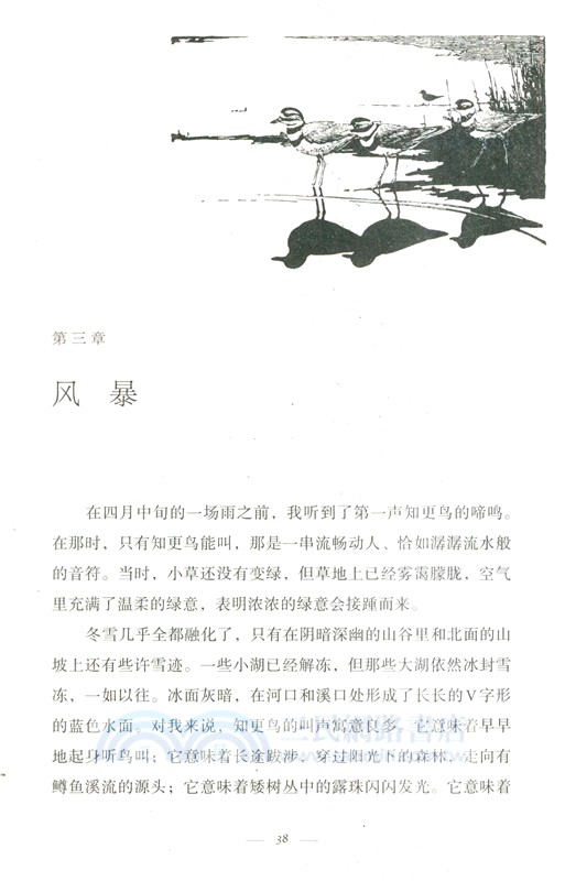 低吟的荒野（簡體書）