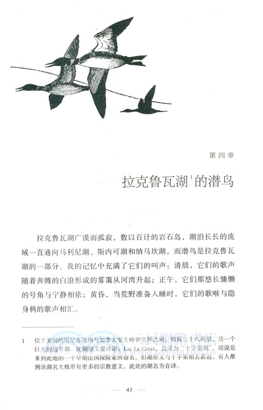 低吟的荒野（簡體書）