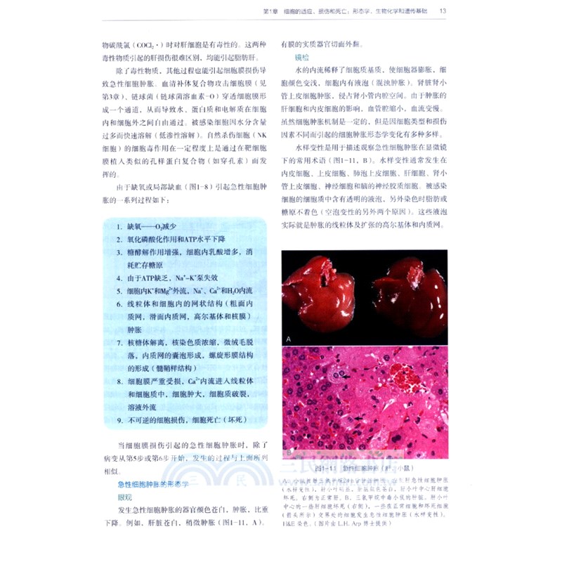 獸醫病理學(第5版)（簡體書）
