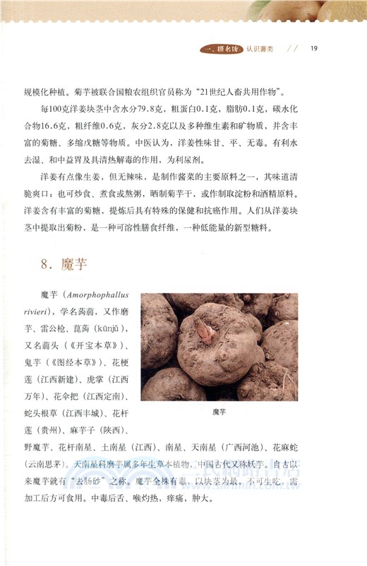 薯類吃個明白（簡體書）