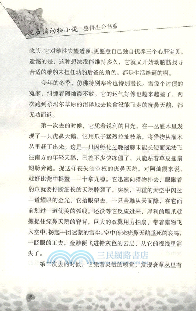 沈石溪動物小說‧感悟生命書系：雪域豹影（簡體書）