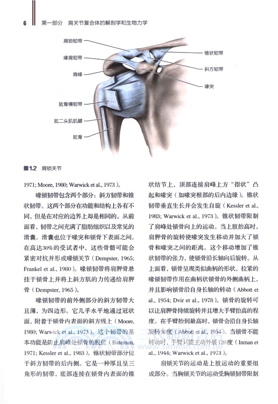 肩部康復訓練 損傷預防 評估與恢復(修訂版)（簡體書）