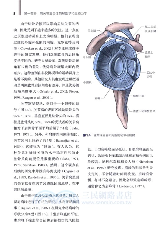 肩部康復訓練 損傷預防 評估與恢復(修訂版)（簡體書）