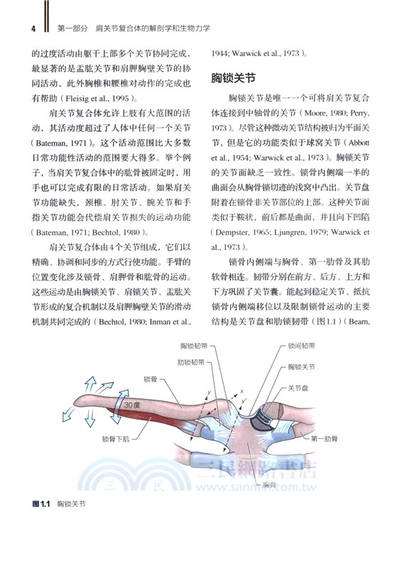 肩部康復訓練 損傷預防 評估與恢復(修訂版)（簡體書）