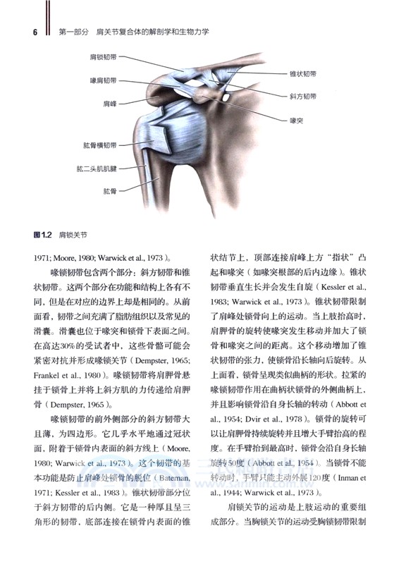 肩部康復訓練 損傷預防 評估與恢復(修訂版)（簡體書）