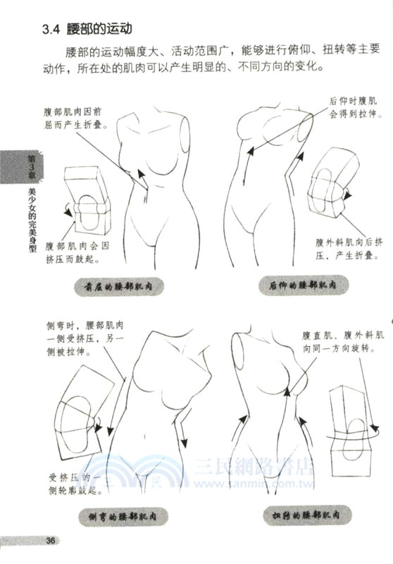 美少女 漫畫教程口袋書（簡體書）