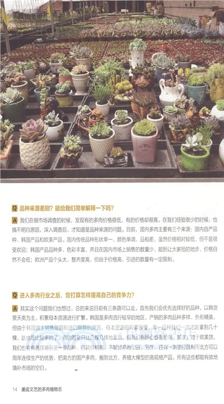 邂逅文藝的多肉植物志（簡體書）