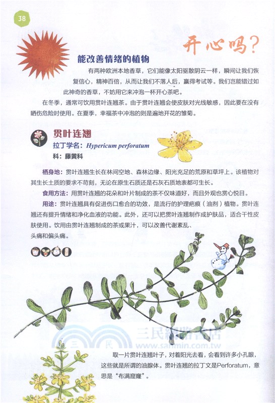 神奇的植物（簡體書）