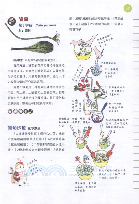 神奇的植物（簡體書）