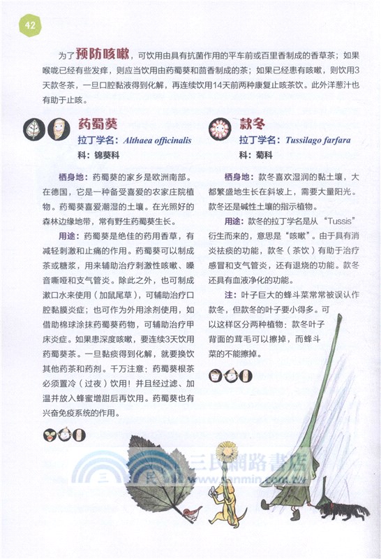 神奇的植物（簡體書）