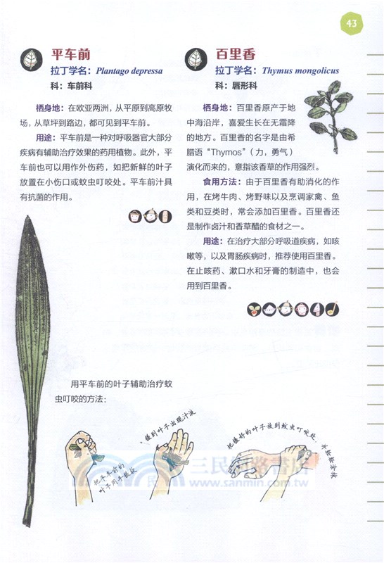 神奇的植物（簡體書）