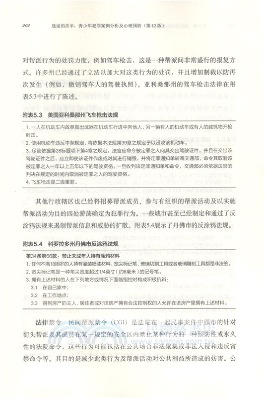 迷途的羔羊：青少年犯罪案例分析及心理預防(第12版)（簡體書）