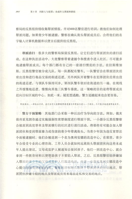 迷途的羔羊：青少年犯罪案例分析及心理預防(第12版)（簡體書）