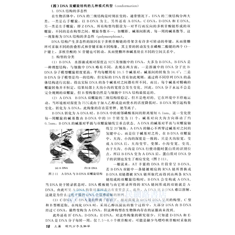 現代分子生物學與基因工程（簡體書）