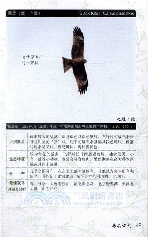 野外觀鳥手冊（簡體書）