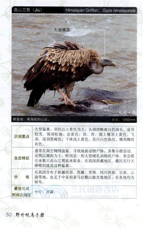 野外觀鳥手冊（簡體書）