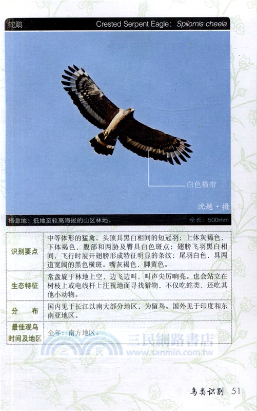 野外觀鳥手冊（簡體書）