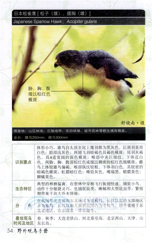 野外觀鳥手冊（簡體書）
