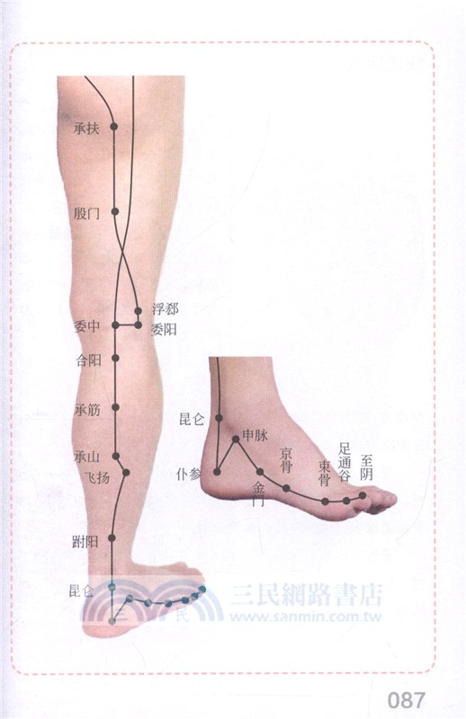 人體經絡穴位速學圖冊（簡體書）
