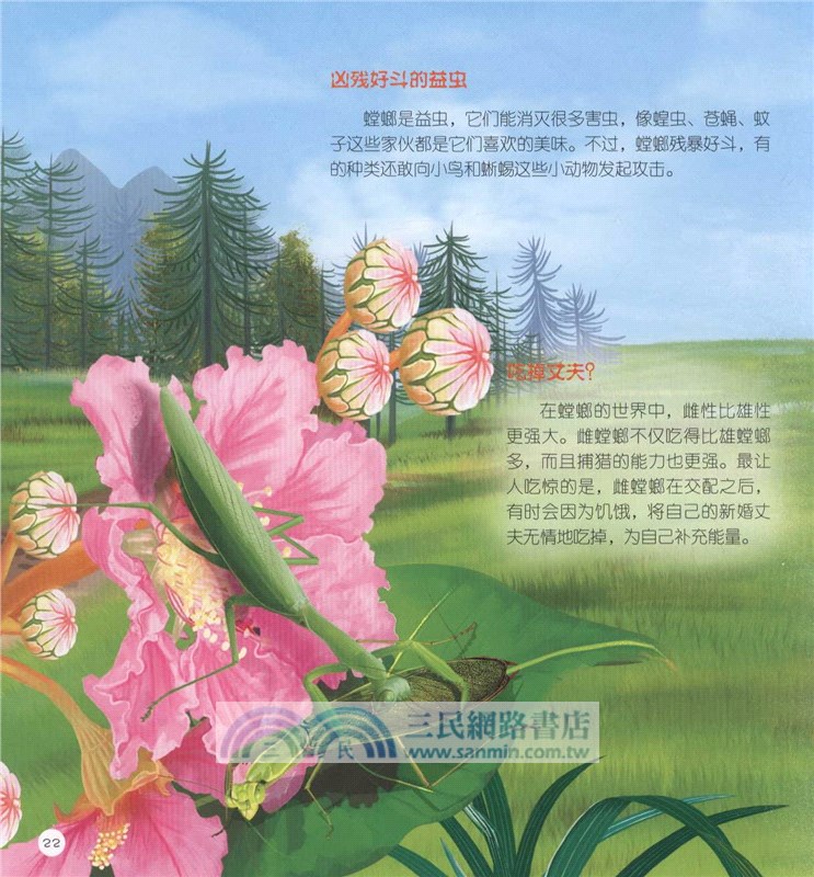 童眼識天下科普館：昆蟲世界（簡體書）