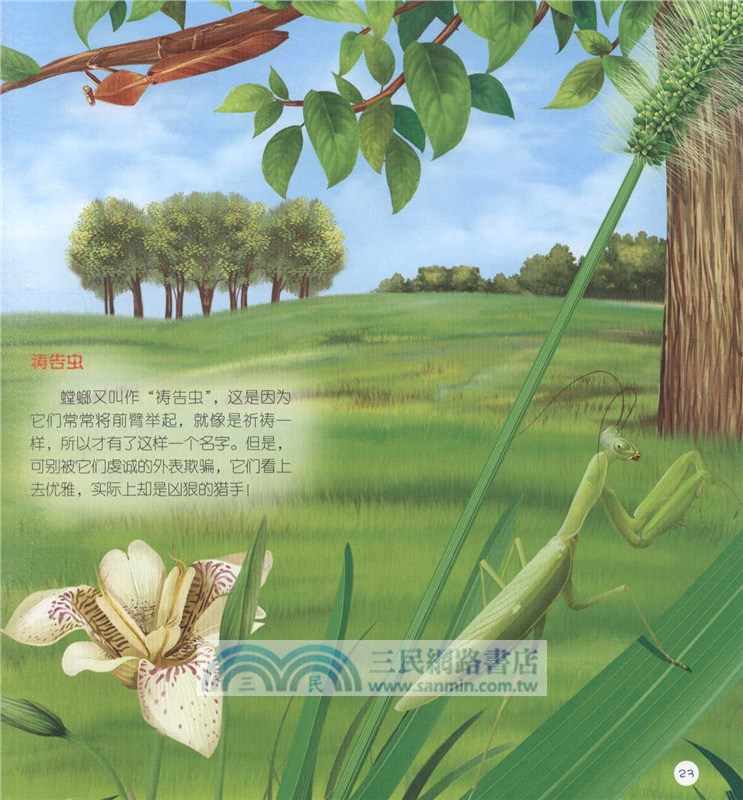 童眼識天下科普館：昆蟲世界（簡體書）