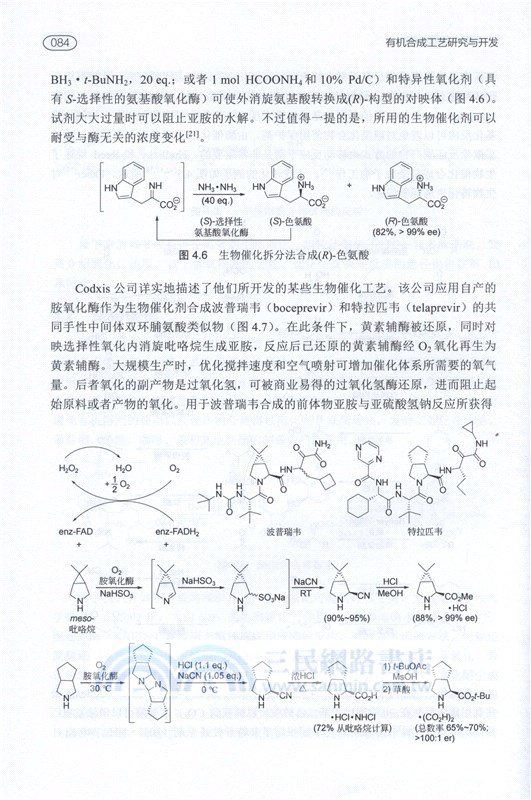 有機合成工藝研究與開發(原著第2版)（簡體書）