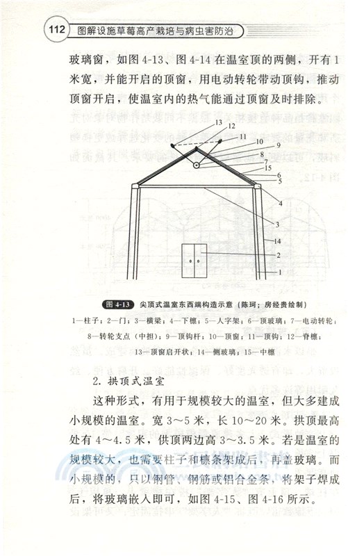 圖解設施草莓高產栽培與病蟲害防治（簡體書）