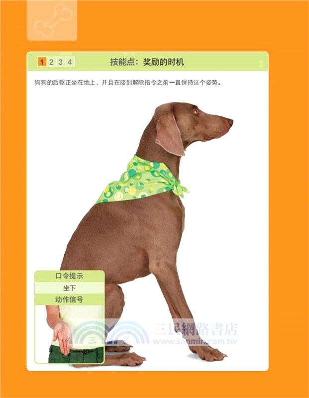 狗狗技能訓練，一本就夠了（簡體書）