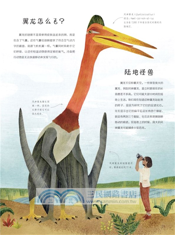 生命的旅程：從魚到人（簡體書）