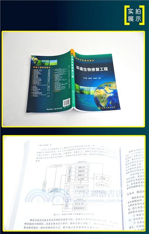 環境生物修復工程（簡體書）