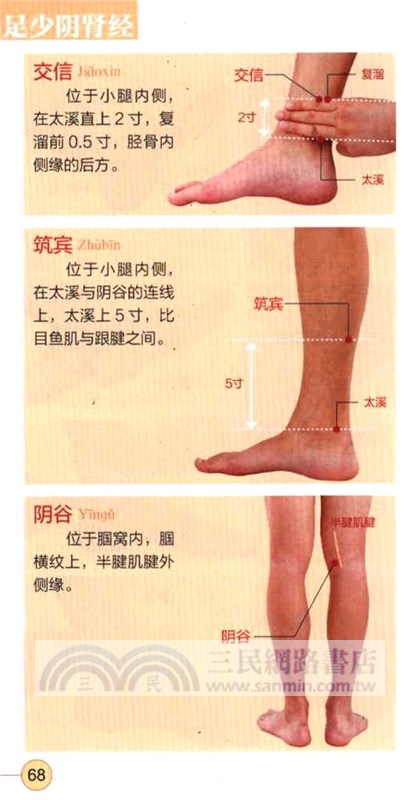 超簡單快速取穴：暢銷升級版(第二版)（簡體書）