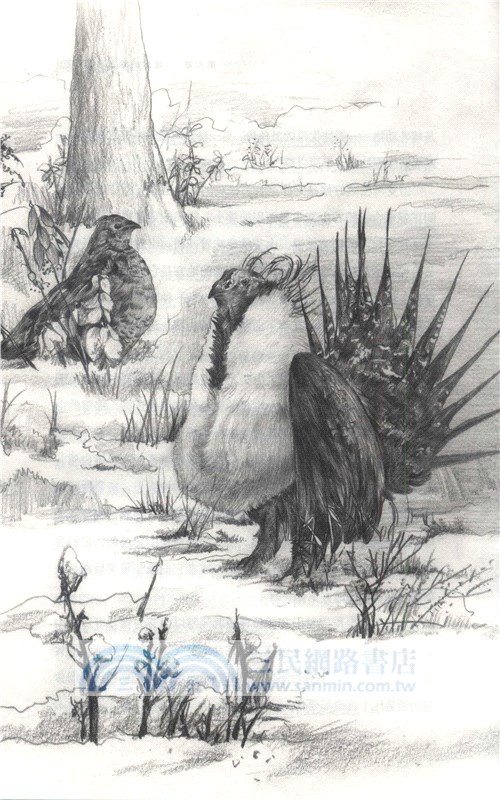 寂靜的春天（簡體書）