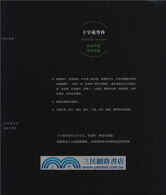 苔蘚圖鑒（簡體書）