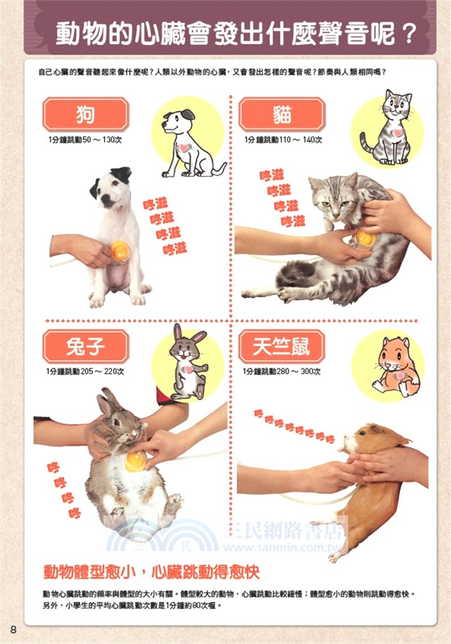 小孩的科學01：聲音探索聽診器
