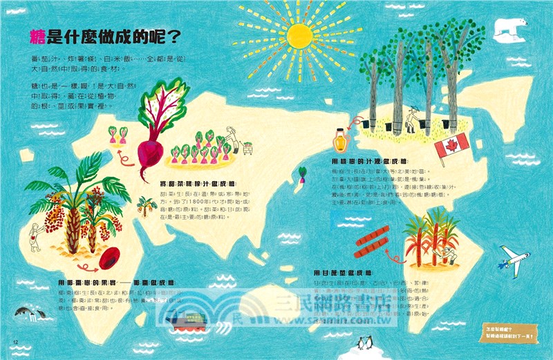 我的第一套食育安全知識繪本套書（共三冊）